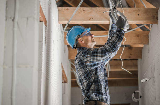 Best Electrical System Inspection  in Pierce, NE